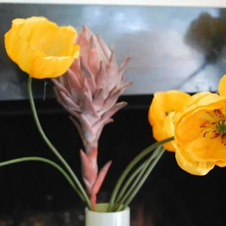 Boutique De Rozenhof Hotel