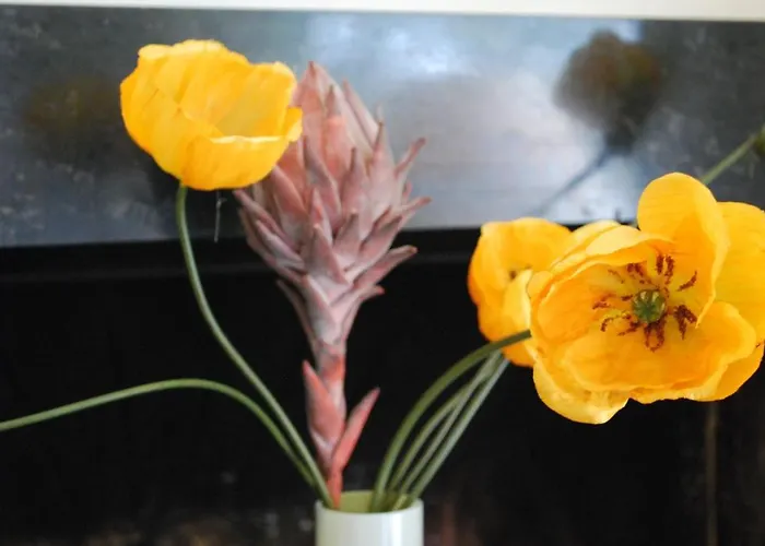 Boutique De Rozenhof Szálloda